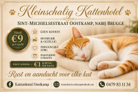 Kattenhotel Oostkamp (nabij Brugge)