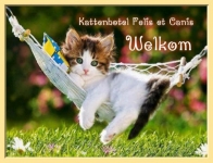 Kattenhotel Felis et Canis
