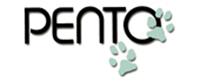 Pento SA