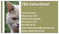 T & S Kattenhotel