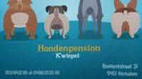 Hondenpension Kwispel