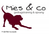 Mies & co
