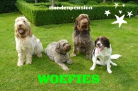 Hondenpension WOEFIES