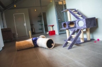 HabiKat Kattenpension