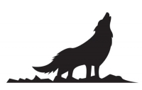 Stewy’s Huisdierencoach